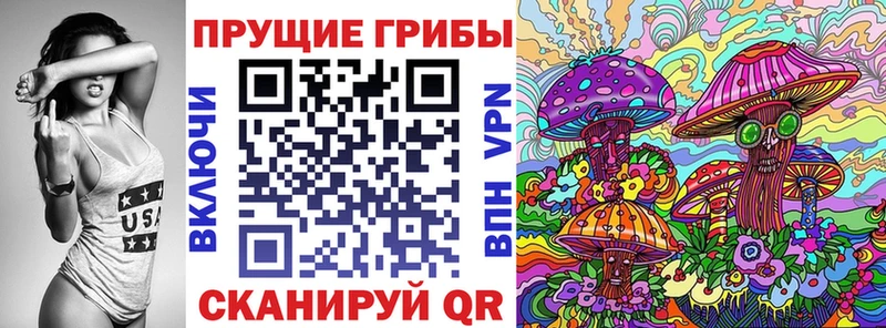 Купить где  Спас-Деменск  Псилоцибиновые грибы GOLDEN TEACHER 